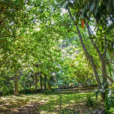 Etna Botanic Garden *