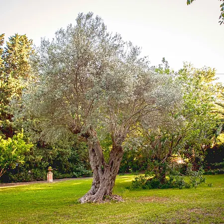 Etna Botanic Garden *