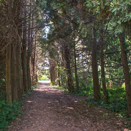 Etna Botanic Garden