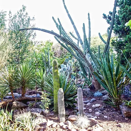 Etna Botanic Garden Mascalucia