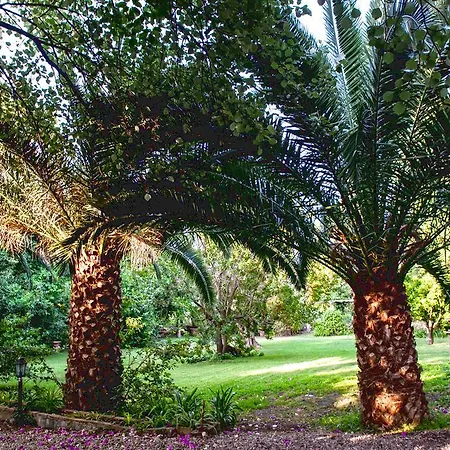 Etna Botanic Garden Mascalucia